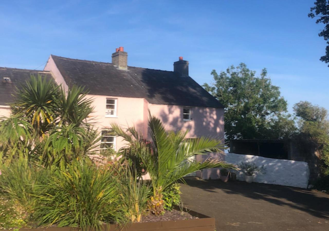 The Pink Cottage Upstairs Suite & Garden Summer Room Whitehead Exterior foto