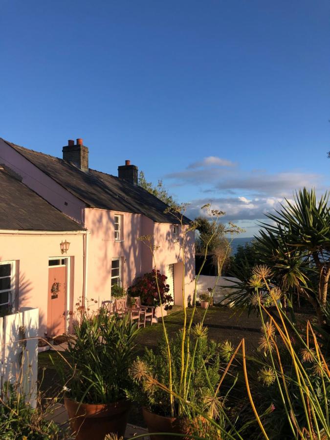 The Pink Cottage Upstairs Suite & Garden Summer Room Whitehead Exterior foto