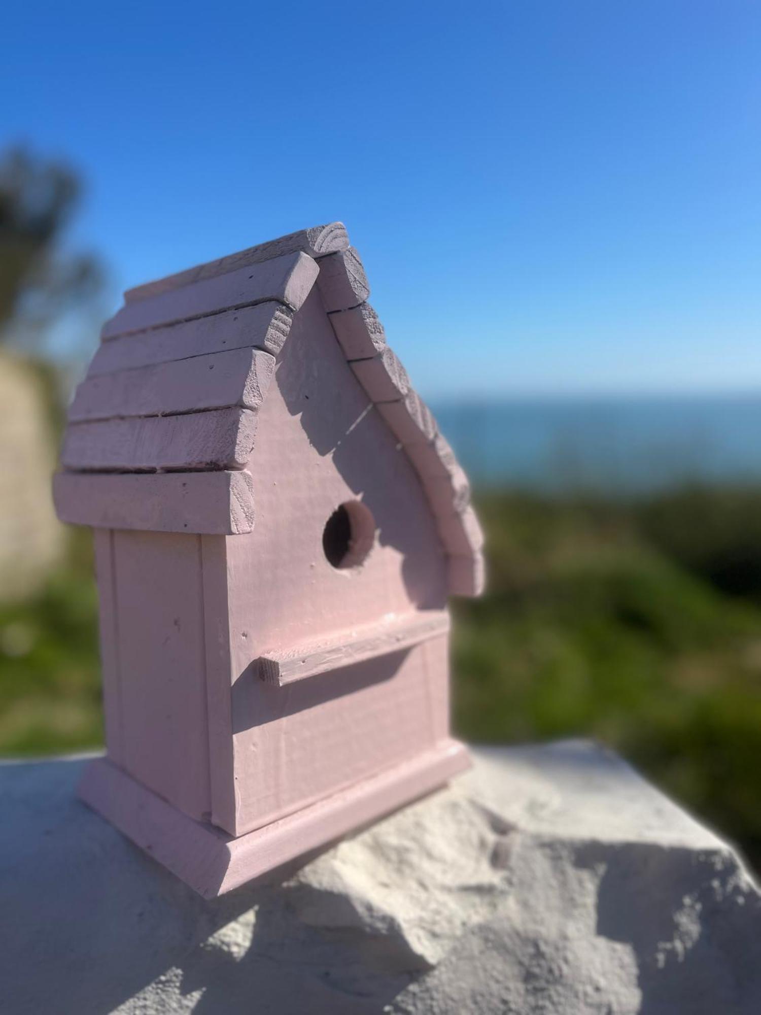 The Pink Cottage Upstairs Suite & Garden Summer Room Whitehead Exterior foto
